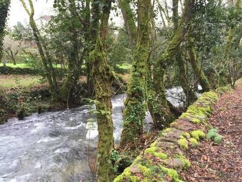 imagen 2 de Venta de espectacular finca en Mondariz (Pontevedra)