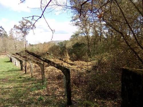 imagen 1 de Venta de fincas en Ponteareas