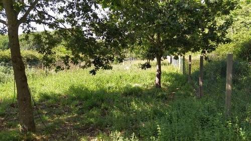 imagen 1 de Venta de parcela cercana a playa en Bueu