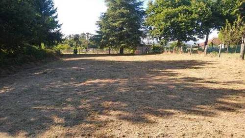 imagen 2 de Venta de finca llana y soleada en Fornelos de Montes