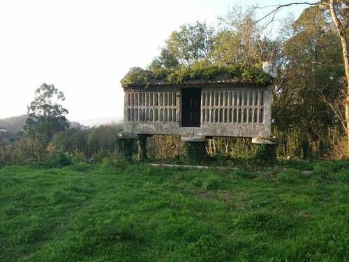 imagen 1 de Venta de finca con vistas al mar en A Gaiba