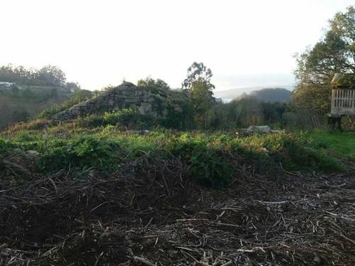 imagen 1 de Venta de finca con vistas al mar en A Gaiba