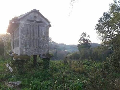 imagen 3 de Venta de finca con vistas al mar en A Gaiba