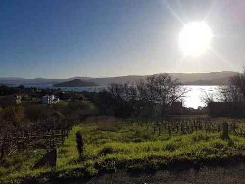 imagen 1 de Venta de terreno con viñedo en Poio (Pontevedra)