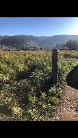 imagen 1 de Venta de finca en Marin (Pontevedra)