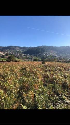 imagen 1 de Venta de finca en Marin (Pontevedra)