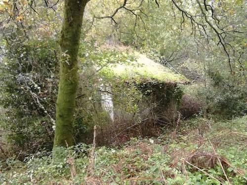 imagen 1 de Venta de finca no edificable en Meis (Pontevedra)