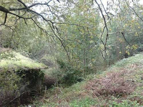 imagen 1 de Venta de finca no edificable en Meis (Pontevedra)