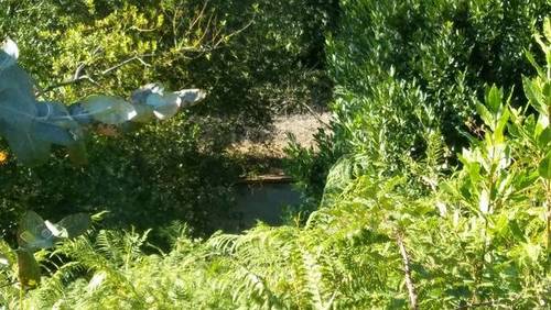 imagen 2 de Venta de finca no edificable en Meis (Pontevedra)