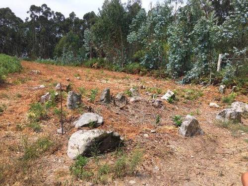 imagen 1 de Venta de terreno rústico en Lourido (Pontevedra)