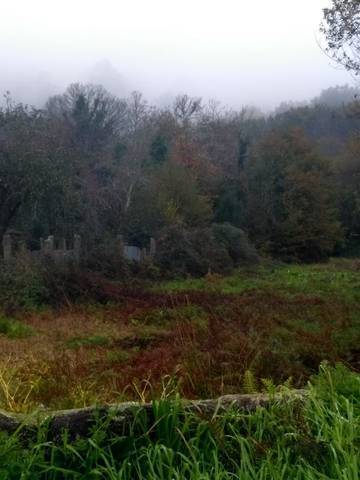imagen 2 de Venta de terreno con mucho agua en Ponteareas