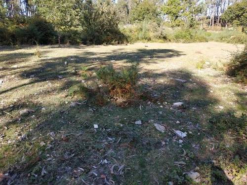 imagen 2 de Venta de terreno edificable en Tomiño