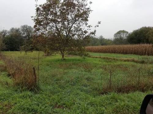 imagen 1 de Venta de terreno rústioc en O Porriño (Pontevedra)