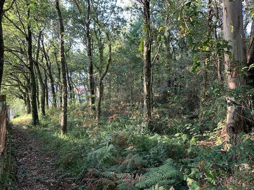 imagen 3 de Venta de terreno con magníficas vistas en Redondela
