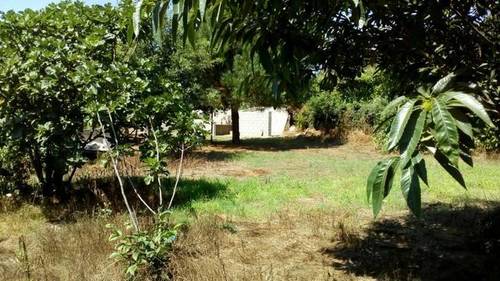 imagen 2 de Venta de bonita parcela en Ponteareas (Pontevedra)
