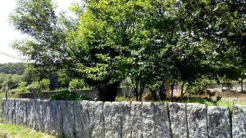 imagen 1 de Venta de bonita parcela en Ponteareas (Pontevedra)