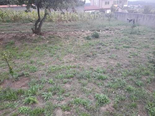 imagen 2 de Finca cerrada y edificable en Caldas de Reis (Pontevedra)