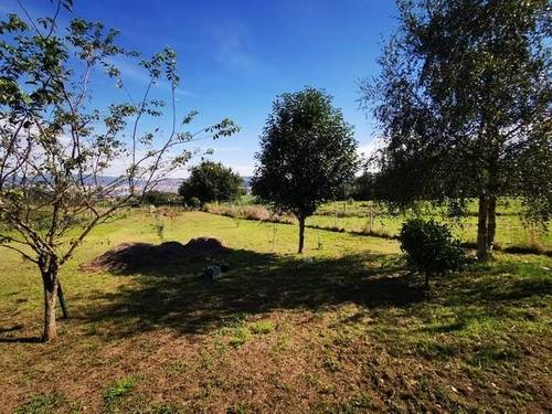 imagen 1 de Venta de finca vallada en Beade