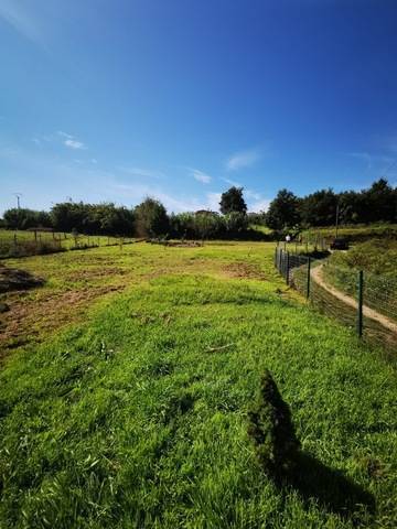 imagen 1 de Venta de finca vallada en Beade