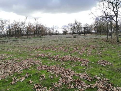 imagen 3 de Venta de preciosa finca en Peralejos de Arriba (Salamanca)