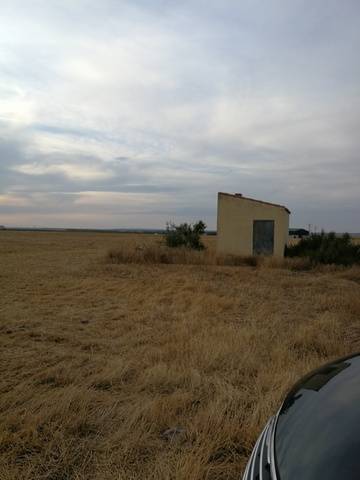 imagen 2 de Venta de finca con nave en Calzada de Valdunciel (Salamanca)