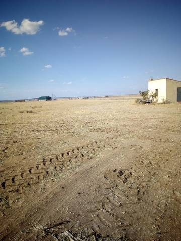 imagen 1 de Venta de finca con nave en Calzada de Valdunciel (Salamanca)