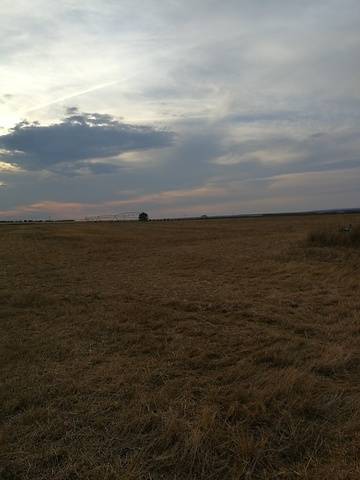 imagen 3 de Venta de finca con nave en Calzada de Valdunciel (Salamanca)