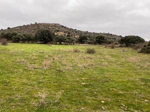 imagen 1 de Venta de finca ganadera en Puente Congosto (Salamanca)