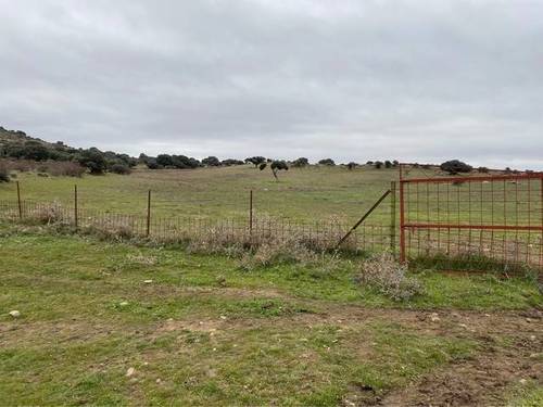imagen 3 de Venta de finca ganadera en Puente Congosto (Salamanca)