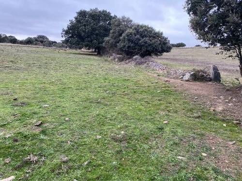 imagen 2 de Venta de finca ganadera en Puente Congosto (Salamanca)