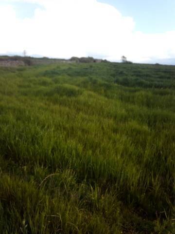 imagen 2 de Venta def inca cerrada en Lumbrales (Salamanca)