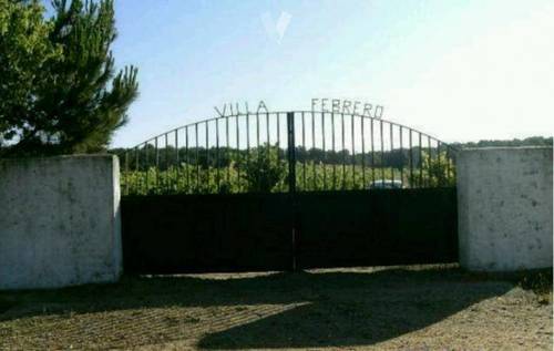 imagen 2 de Venta def inca con merendero y viñedo en Salamanca