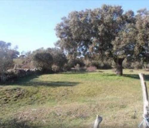 imagen 1 de Venta de finca rústica en Salamanca