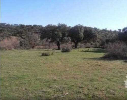 imagen 1 de Venta de finca rústica en Salamanca