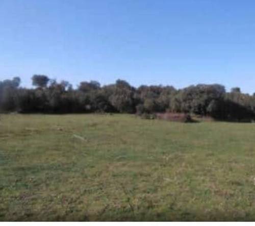 imagen 3 de Venta de finca rústica en Salamanca
