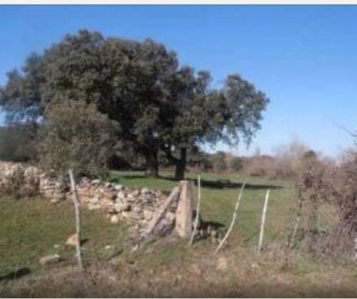 imagen 2 de Venta de finca rústica en Salamanca