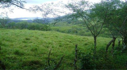 imagen 1 de Venta de finca de regadío y robledal en Béjar