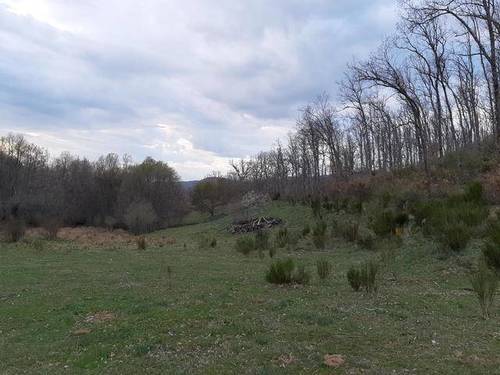 imagen 1 de Venta de finca de regadío y robledal en Béjar