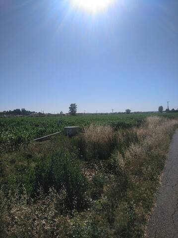 imagen 1 de Venta de finca de regadío en Calvarrasa de abajo (Salamanca)