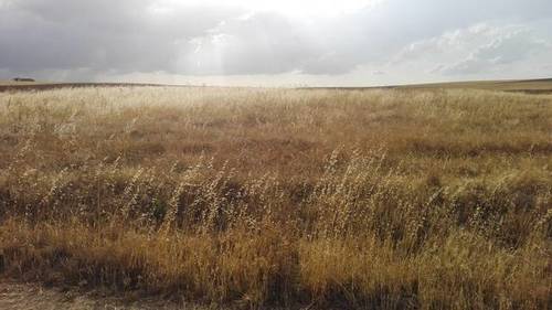 imagen 1 de Venta de parcela rústica en Turra de Alba (Salamanca)