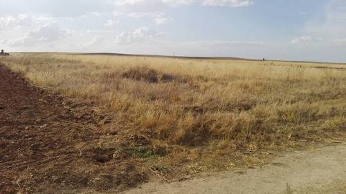 imagen 1 de Venta de parcela rústica en Turra de Alba (Salamanca)