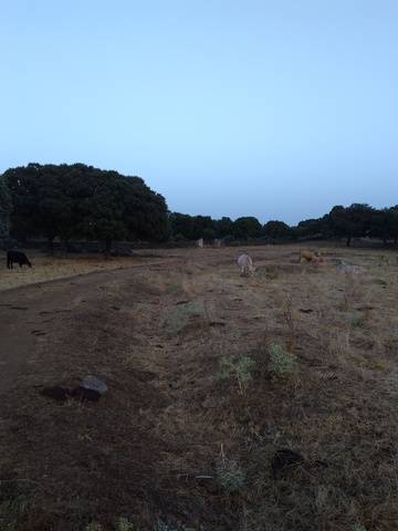 imagen 6 de Venta de finca de gran extensión en Ciudad Rodrigo