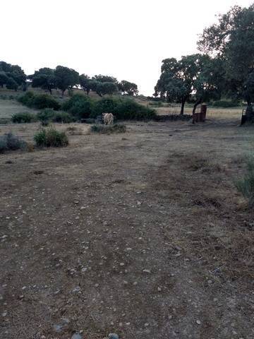 imagen 5 de Venta de finca de gran extensión en Ciudad Rodrigo