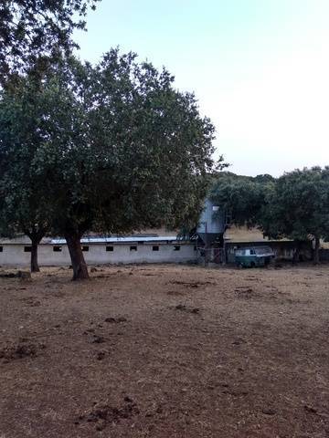 imagen 7 de Venta de finca de gran extensión en Ciudad Rodrigo