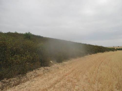 imagen 1 de Venta de finca en Ledesma (Salamanca)