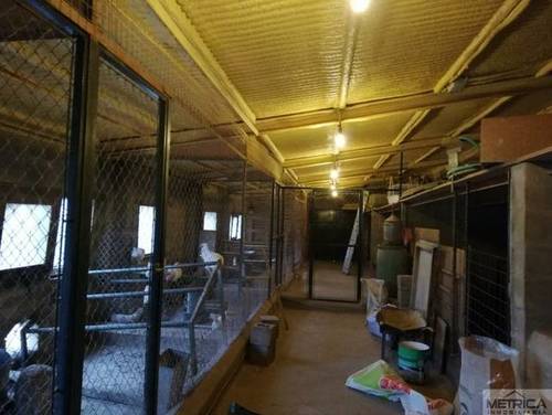 imagen 1 de Venta de preciosa finca con casa en Calvarrasa de Arriba (Salamanca)