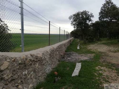 imagen 6 de Venta de preciosa finca con casa en Calvarrasa de Arriba (Salamanca)