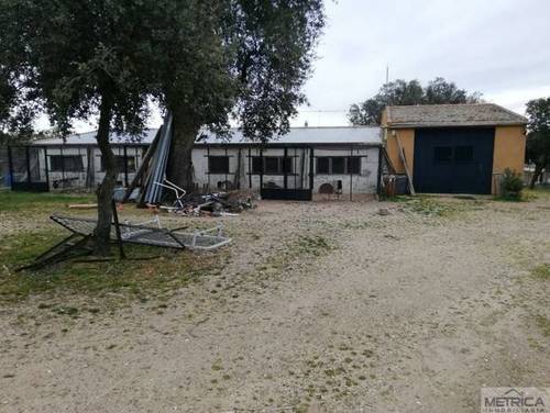 imagen 4 de Venta de preciosa finca con casa en Calvarrasa de Arriba (Salamanca)