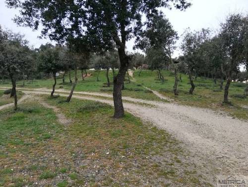 imagen 5 de Venta de preciosa finca con casa en Calvarrasa de Arriba (Salamanca)