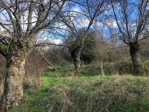 imagen 1 de Venta de finca con buen acceso
